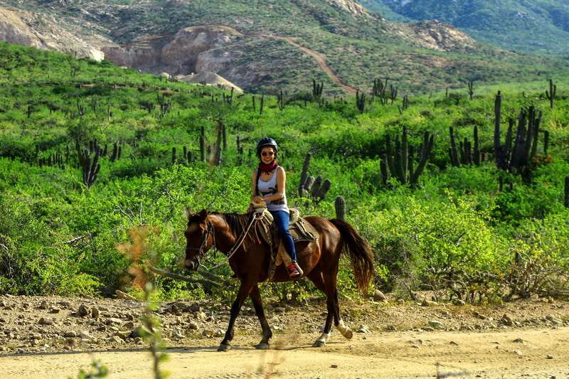 Cabo San Lucas: Beach & Desert Horseback Riding Tour - What to bring and what to leave behind