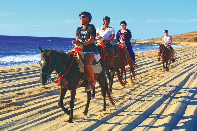 Cabo San Lucas Camel and Horseback Ride with ATV Adventure - Camels, horses, and a Pacific shoreline