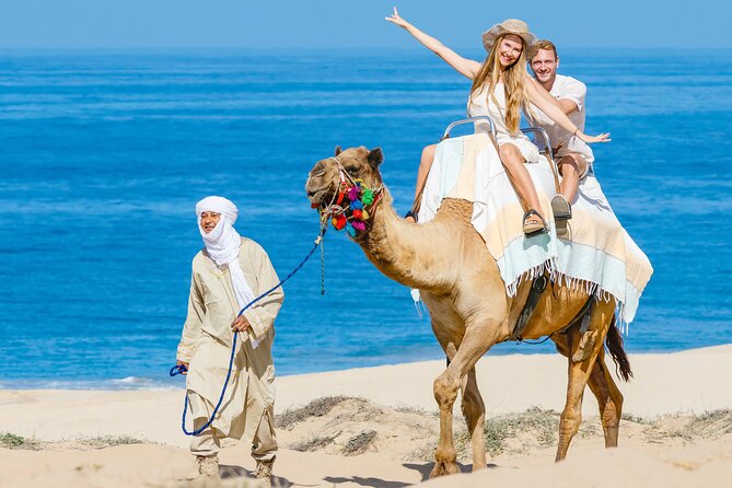 Cabo San Lucas Camel and Horseback Ride with ATV Adventure - Migriño in winter, whales and sunset color