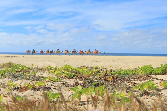 Cabo San Lucas Camel and Horseback Ride with ATV Adventure - What the $175 price really covers