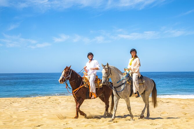 Cabo San Lucas Camel and Horseback Ride with ATV Adventure - The ATV ride is shared, not solo