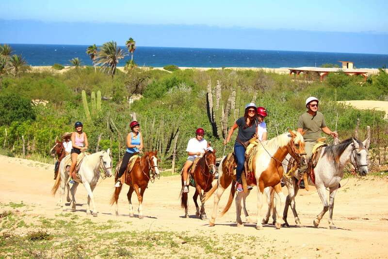 Cabo San Lucas: Horseback Riding in Migriño with Transfers - Meeting your horse in Migriño