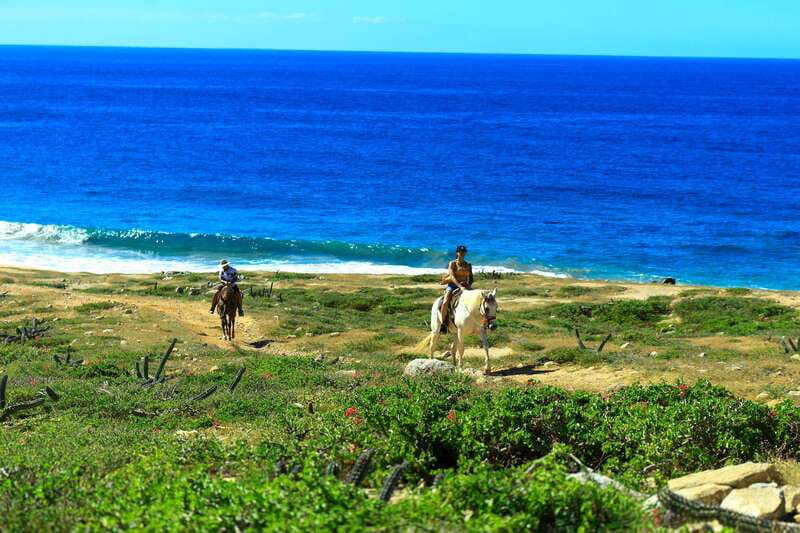 Cabo San Lucas: Horseback Riding in Migriño with Transfers - Reaching the sand and open Pacific