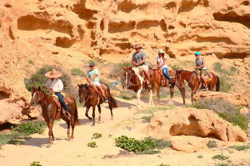 Cabo San Lucas: Horseback Riding in Migriño with Transfers - The coastal viewpoint and seasonal whales