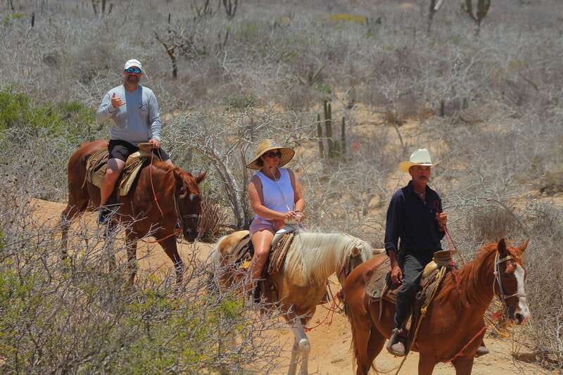 Cabo San Lucas: Horseback Riding in Migriño with Transfers - Guides, horses, and the human side of the ride