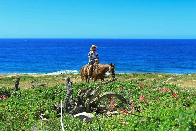 Cabo San Lucas: Horseback Riding in Migriño with Transfers - The tequila tasting and time to relax