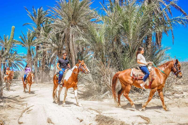 Cabo San Lucas: Horseback Riding in Migriño with Transfers - Is the $87 price good value?