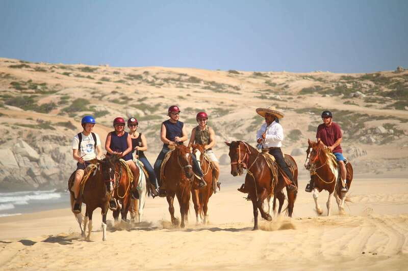 Cabo San Lucas: Horseback Riding in Migriño with Transfers - Who should book this horseback ride?