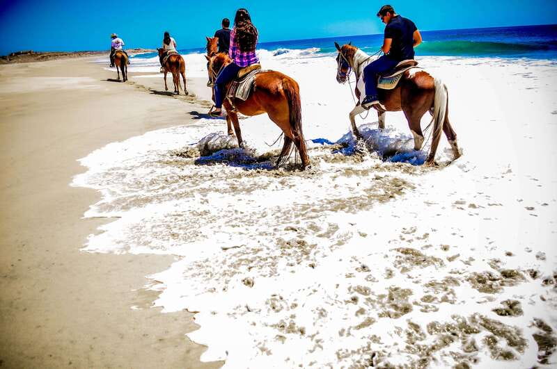 Cabo San Lucas: Horseback Riding in Migriño with Transfers - Rocky paths, desert plants, and Baja wildlife