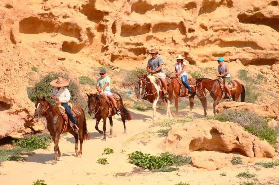 Cabo San Lucas: Horseback Riding on the Beach Experience - Photos, tequila, and the return stop