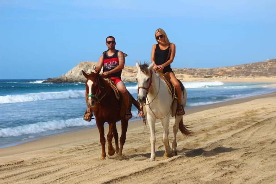Cabo San Lucas: Horseback Riding on the Beach Experience - Riding the sandy shoreline
