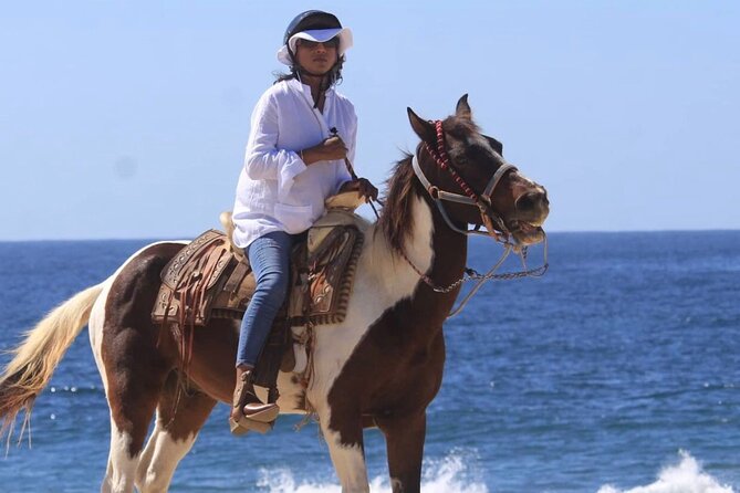 Cabo San Lucas Sunset Horseback Ride on the Beach - Key points to know before you saddle up