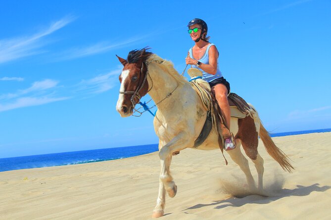 Cabo Shore Excursion: Beach Horseback Ride & Tequila Tasting - From Cabo’s port to the Migrino desert