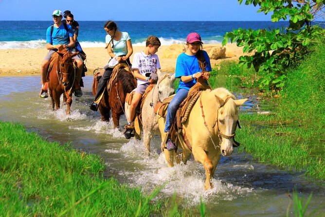 Cabo Shore Excursion: Beach Horseback Ride & Tequila Tasting - What the Los Cabos and El Arco stops really mean