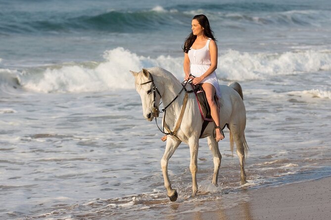 Cabo Shore Excursion: Beach Horseback Ride & Tequila Tasting - Tequila after the saddle