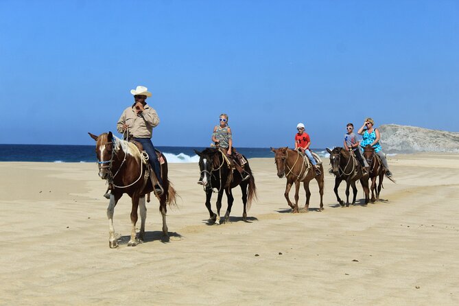 Cabo Shore Excursion: Beach Horseback Ride & Tequila Tasting - Who will enjoy this outing most