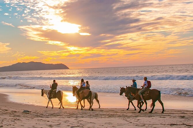Cabo Shore Excursion: Beach Horseback Ride & Tequila Tasting - Riding through cactus country