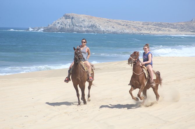 Cabo White Sand Horseback Riding Tour and Tequila Tasting - Key Points Before You Saddle Up