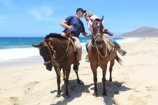 Cabo White Sand Horseback Riding Tour and Tequila Tasting - From Cabo’s Desert Trails to the Pacific Shore