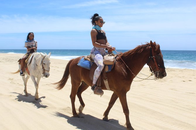 Cabo White Sand Horseback Riding Tour and Tequila Tasting - Desert Plants, Baja Race Trails, and Local Stories