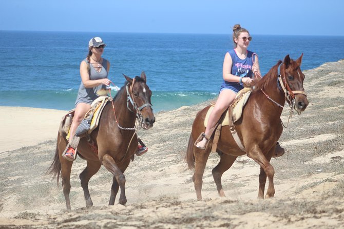 Cabo White Sand Horseback Riding Tour and Tequila Tasting - The Tequila Tasting: Sample, Shop, or Skip