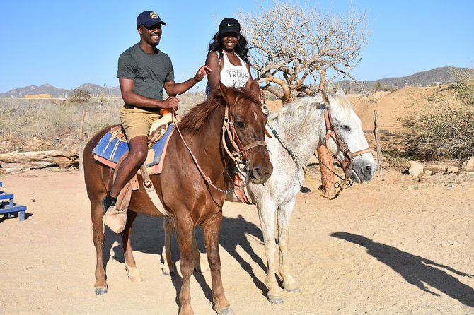 Cabo White Sand Horseback Riding Tour and Tequila Tasting - The Real Cost: $85 Plus the Fees