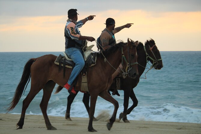 Cabo White Sand Horseback Riding Tour and Tequila Tasting - Who Will Enjoy This Ride Most