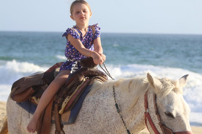 Cabo White Sand Horseback Riding Tour and Tequila Tasting - Meeting the Horses and Starting Safely