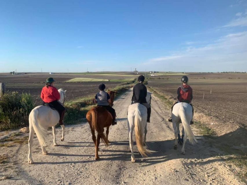 Cádiz Country side: Ride an Andalusian Horse - Key points to know before you book