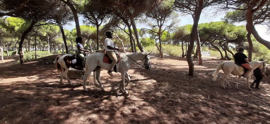 Cádiz Country side: Ride an Andalusian Horse - Why Andalusian horses add to the visit