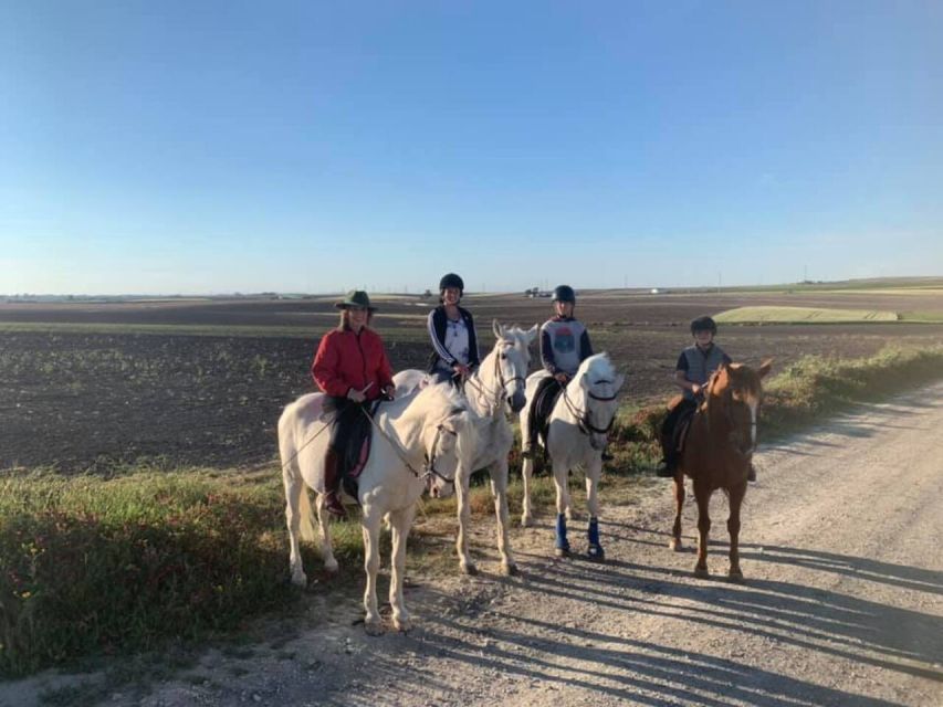 Cádiz Country side: Ride an Andalusian Horse - Weather, timing, and what to bring