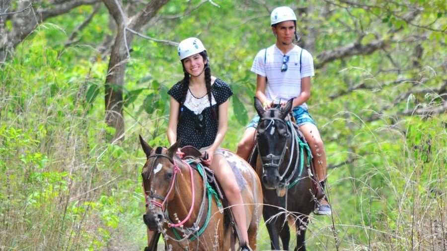 Cádiz Country side: Ride an Andalusian Horse - Choosing a horse for your experience level
