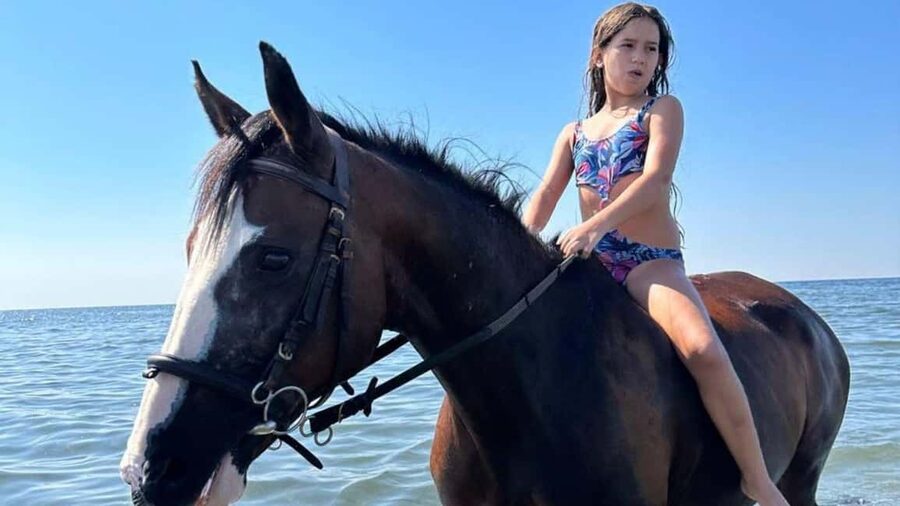Cagliari: horseback riding with sunrise dive - Key points to know before booking