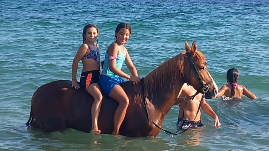 Cagliari: horseback riding with sunrise dive - FAQ