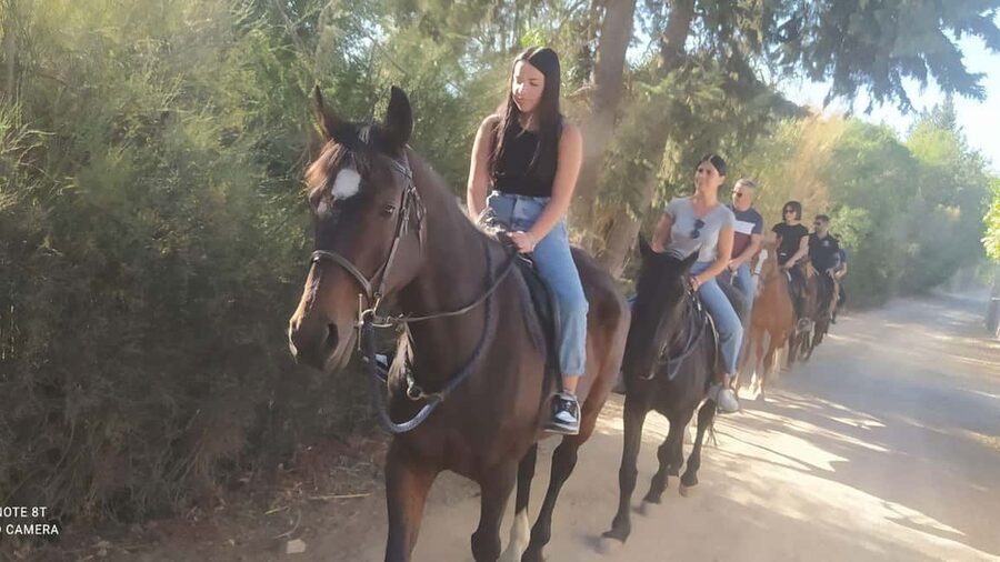 Cagliari: panoramic horseback riding - Key points at a glance