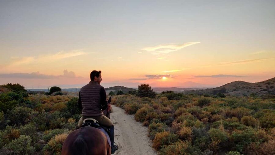 Cagliari: panoramic horseback riding - Getting to the riding school
