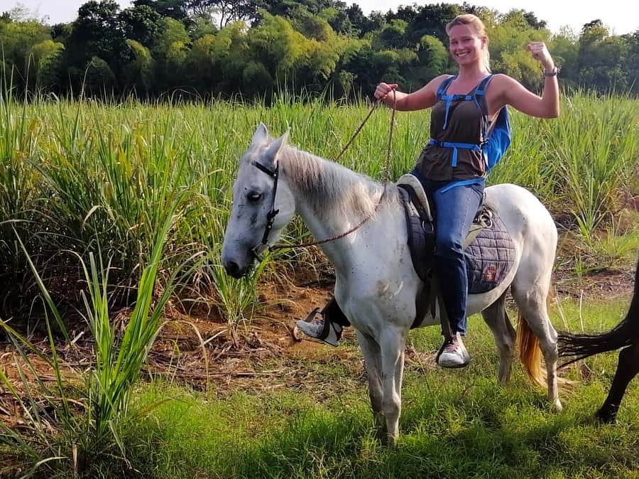 Cali: Horseback Riding - Riding Colombian Creole horses near Cali