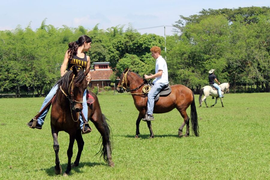 Cali: Horseback Riding - Is $139 a fair price?