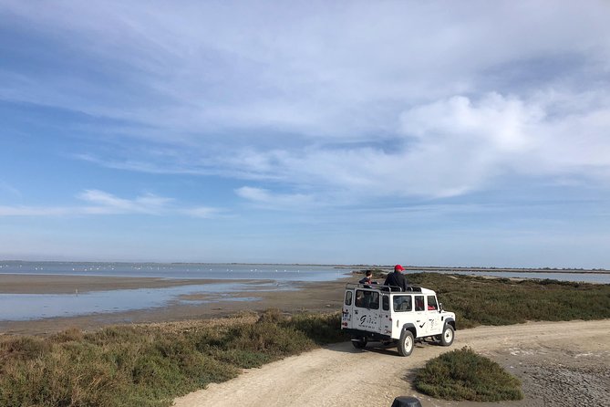 Camargue 4x4 Safari 2 hours Saintes Maries de la Mer - Weather, cancellations, and family appeal