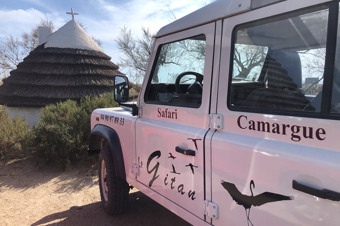 Camargue 4x4 Safari 2h + Picnic + Kayak - Practical advice before you book