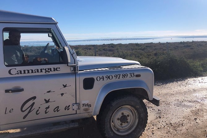 Camargue 4x4 Safari Day - The eastern and western Camargue in one day
