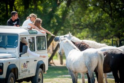 Camargue 4×4 Safari VIP Tour