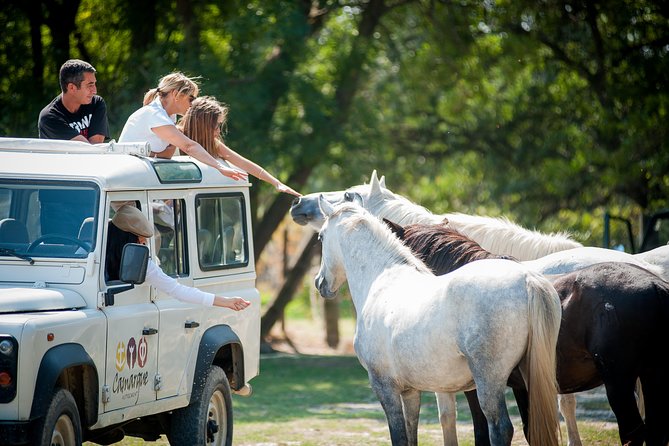 Camargue 4x4 Safari VIP Tour - The guides are a big part of the value
