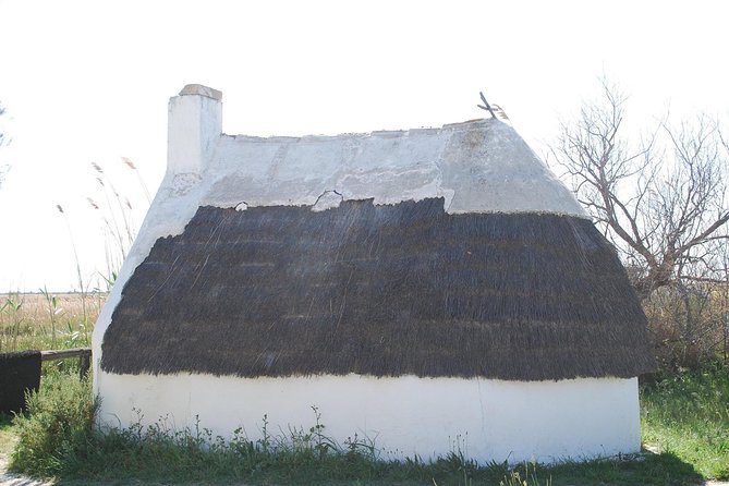 Camargue Full Day Tour from Avignon - Should you book the Camargue day trip?