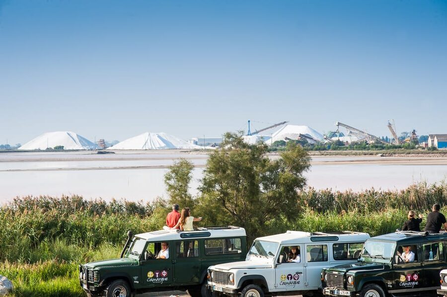 Camargue: Half-Day 4x4 Guided Safari Adventure - The tasting at Mas du Notaire