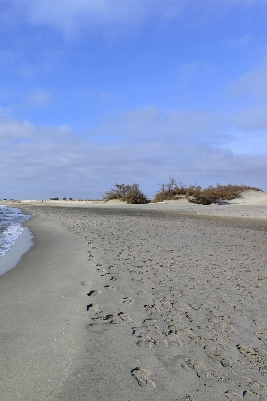 Camargue, its secrets and its magic: an exclusive tour - What the $94 price really buys you