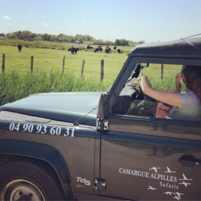 Safari from Saintes-Maries-de-la-Mer