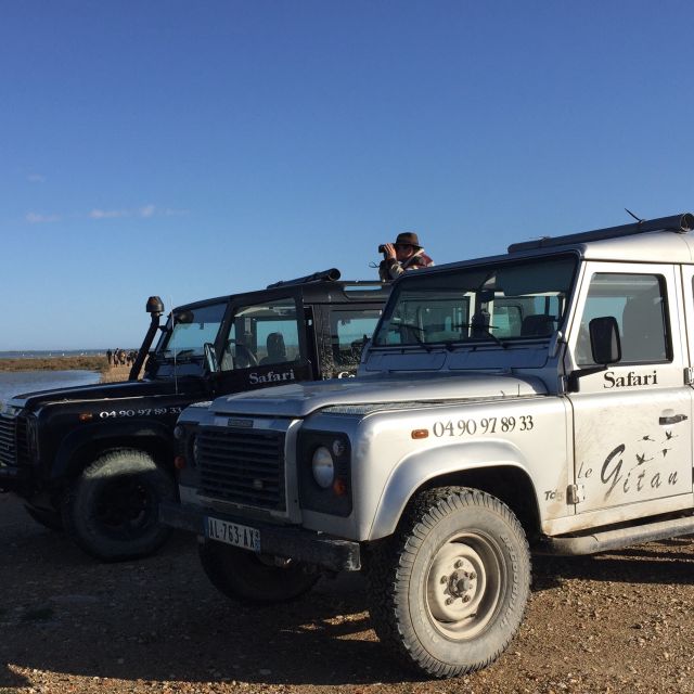 Camargue: Safari from Saintes-Maries-de-la-Mer - A working bull farm, not just a photo stop