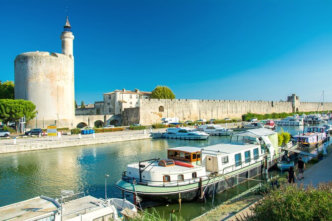 Camargue Small-Group Day Trip from Avignon - Bac du Sauvage and the question of wild animals