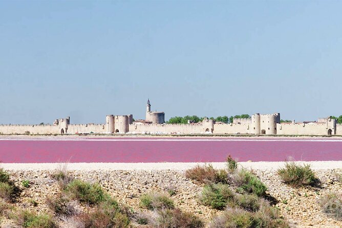 Camargue Small-Group Day Trip from Avignon - Who should book this experience